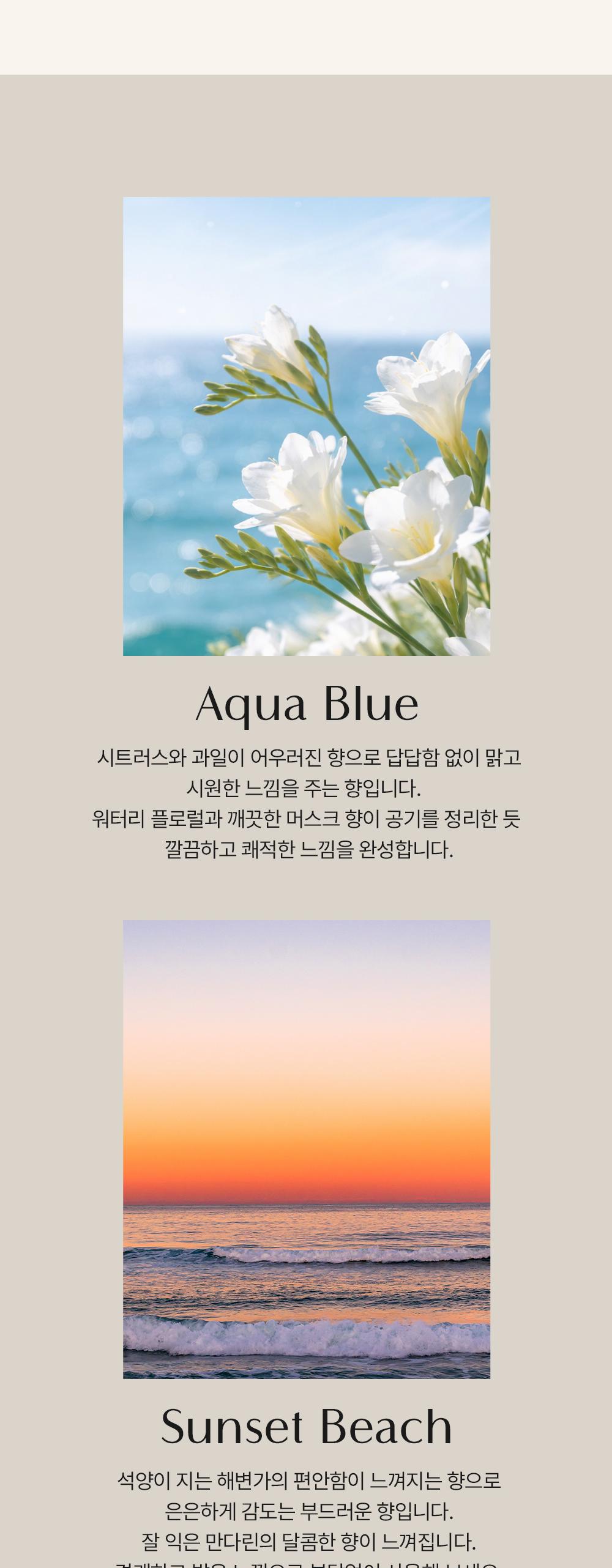 BAS 대용량 탈취제 BIG 페퍼민트 1개*소분용기*2개*스푼 1개 상세 이미지 8